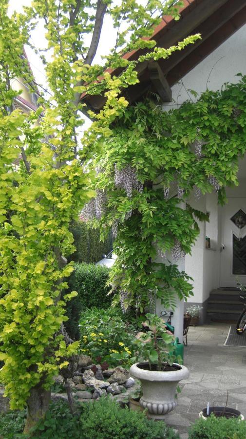 Appartement Am Goldberg Goldbach  Kültér fotó